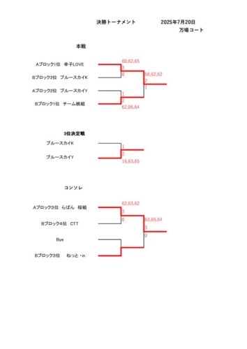 2025_豊橋チーム対抗戦（55歳以上）_結果_決勝トーナメントのサムネイル